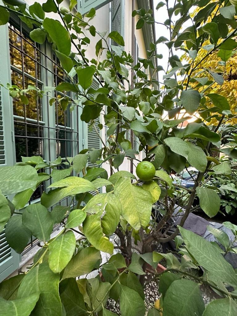 Apartment Della Rocca Urban Relais *